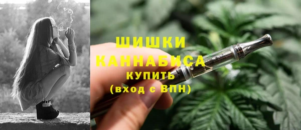 гашик Аркадак