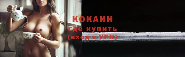 гашик Аркадак