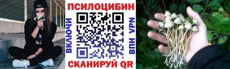 Галлюциногенные грибы GOLDEN TEACHER  Сольцы 